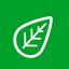 RootCamp